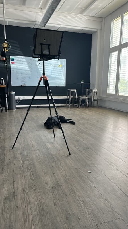 The NEED — Impression 1