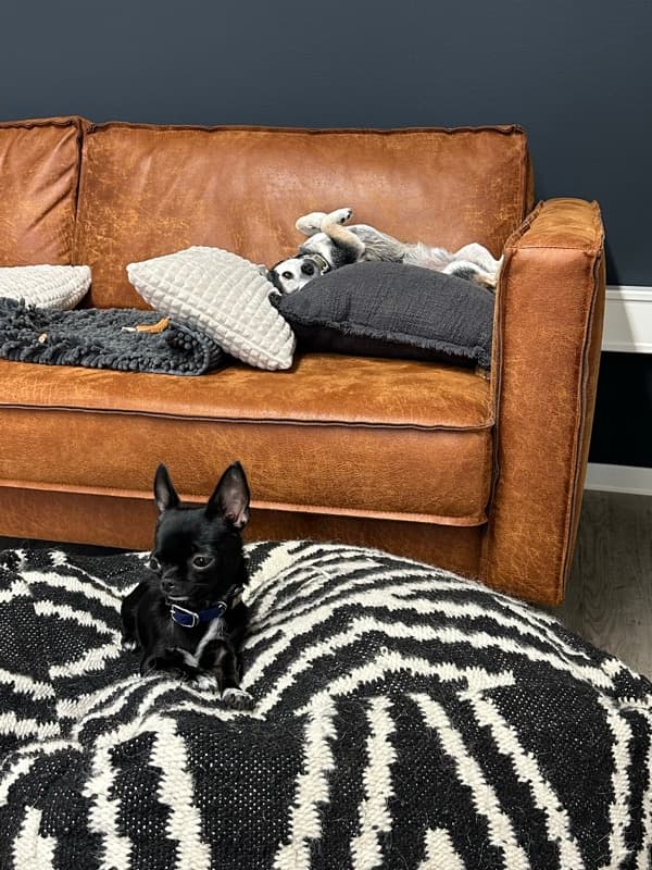 The NEED — Impression 23