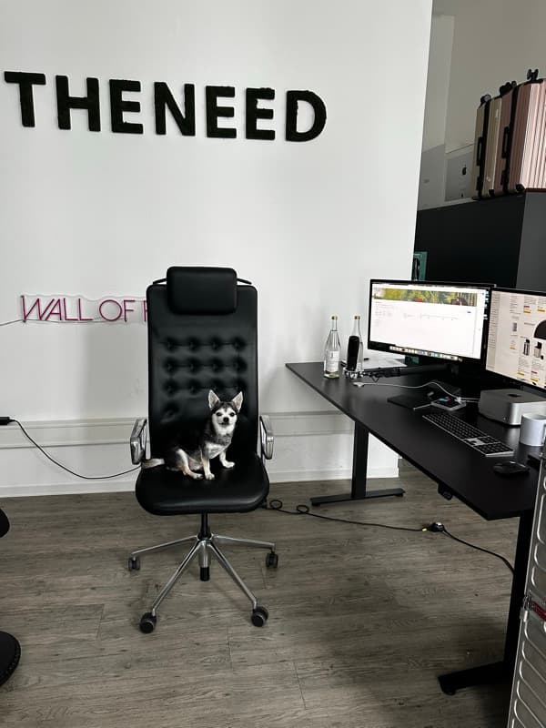 The NEED — Impression 65