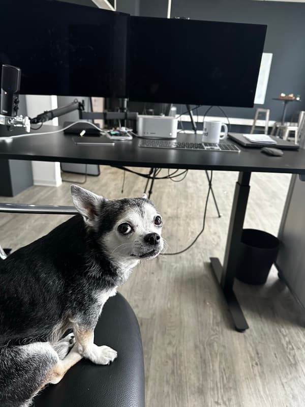 The NEED — Impression 66