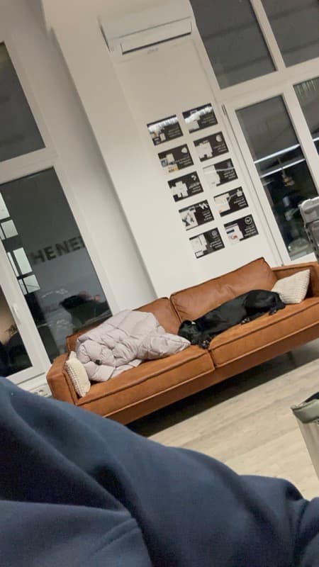 The NEED — Impression 67